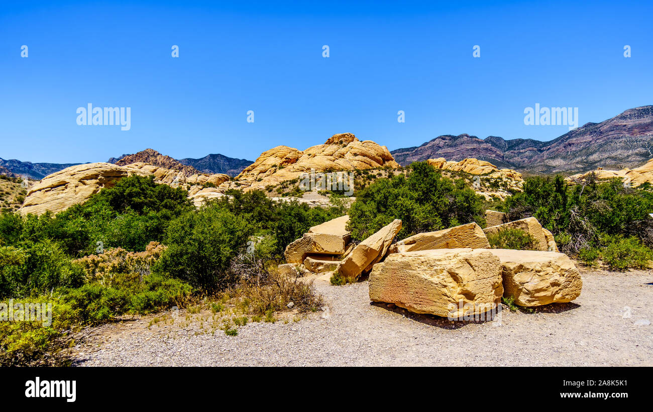 Des rochers de grès jaune géant à la carrière de grès Trail dans le Red Rock Canyon National Conservation Area près de Las Vegas, Nevada, United States Banque D'Images
