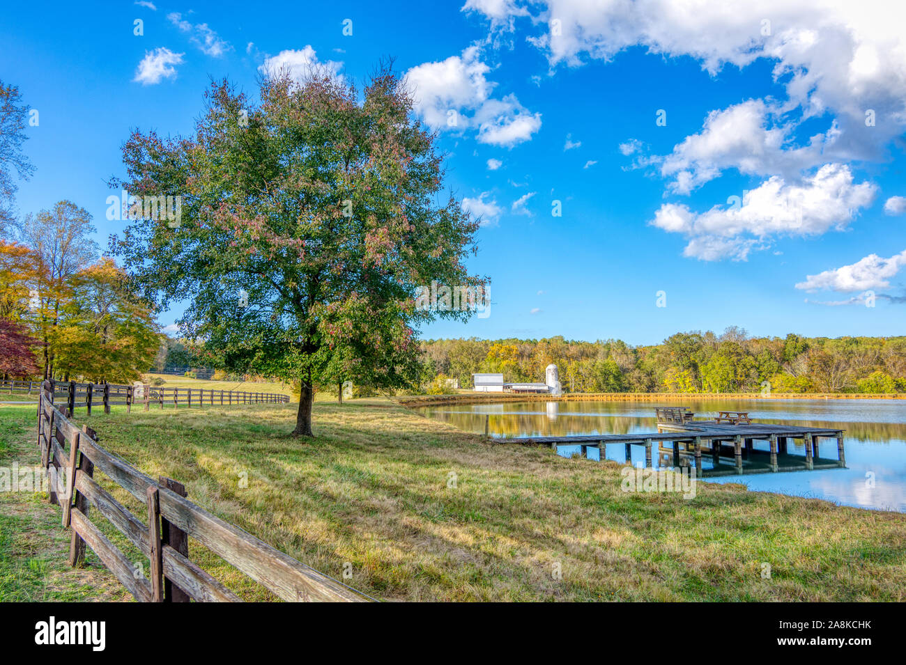 Clôture et arbre près d'un étang avec une ferme avec une grange et silo en arrière-plan en Orange County North Carolina Banque D'Images