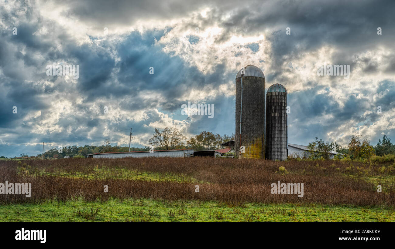 Deux silos dans un champ sur une ferme sur un jour de tempête à Orange County en Caroline du Nord Banque D'Images