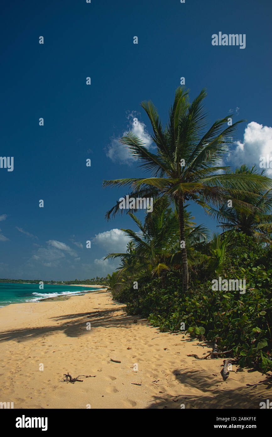 Vega baja Banque de photographies et d’images à haute résolution - Alamy