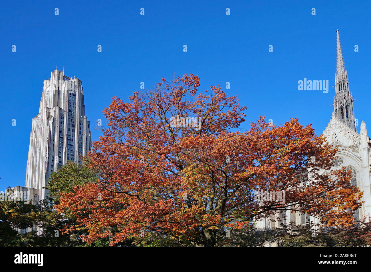 Campus de l'Université de Pittsburgh avec les couleurs de l'automne, la cathédrale de l'apprentissage et la chapelle Banque D'Images
