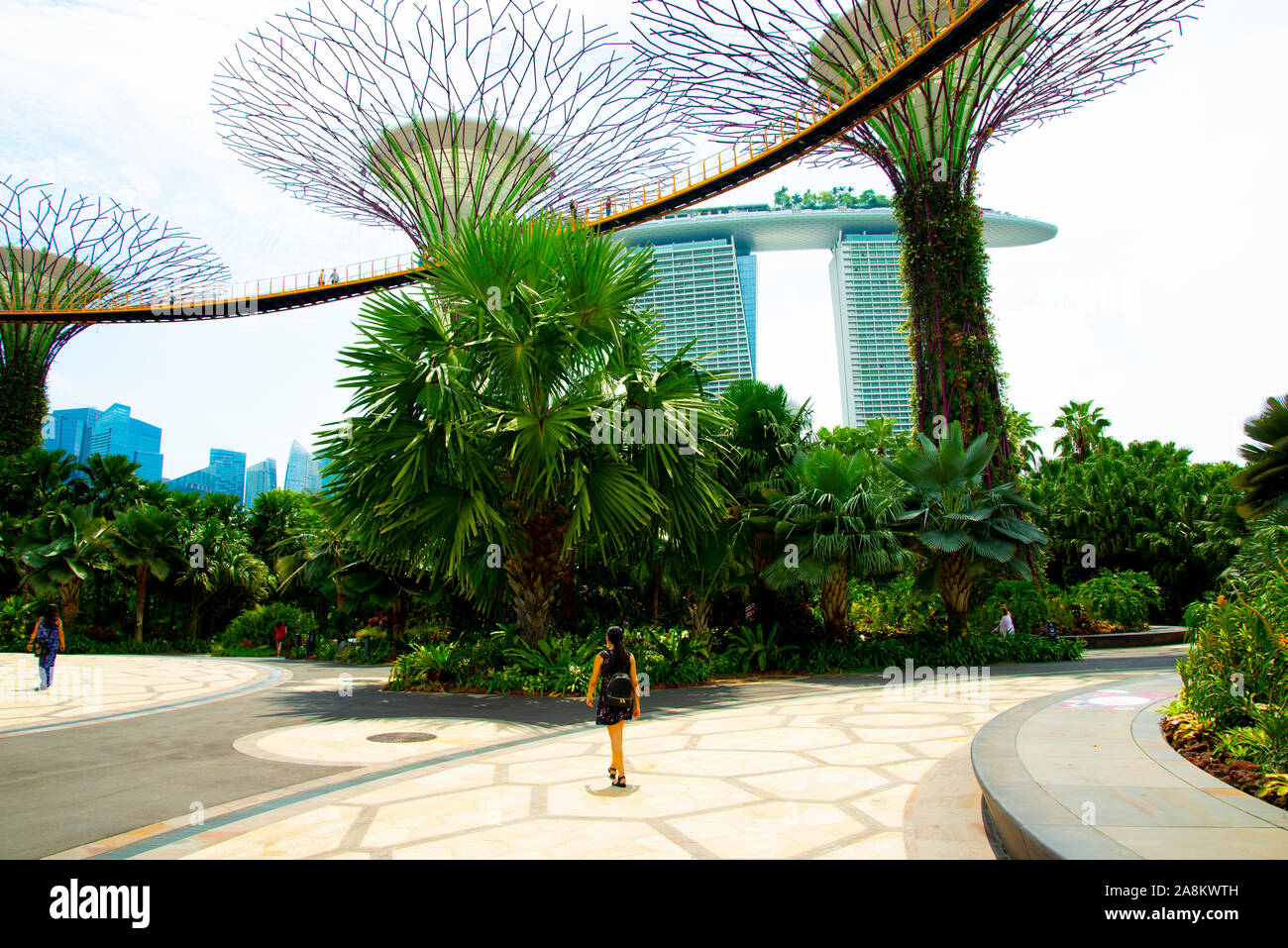 Dans le Skyway OCBC Supertree Grove au jardin par La Baie - Singapour Banque D'Images