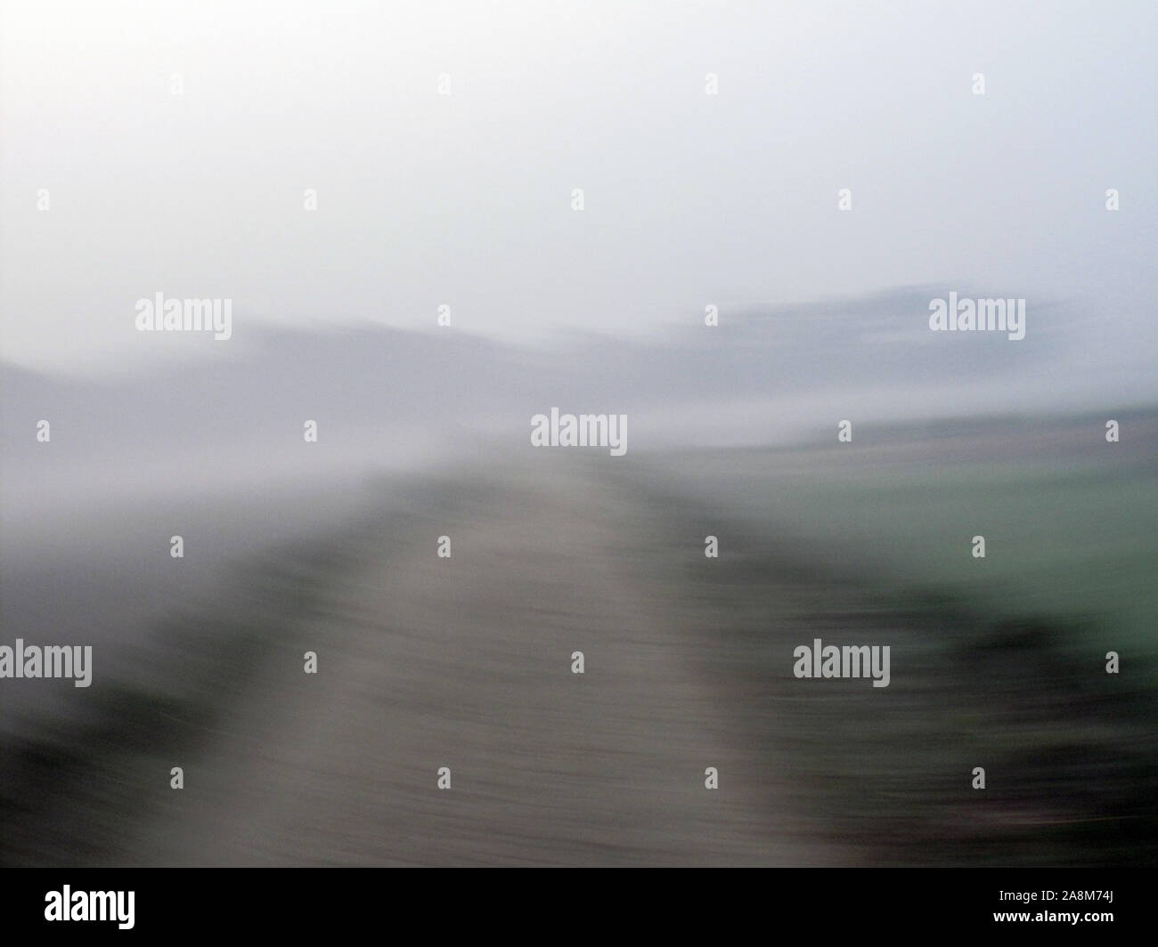 Matin brumeux dans le Bengale campagne dans la jungle des Sundarbans, le Bengale occidental, en Inde. Banque D'Images