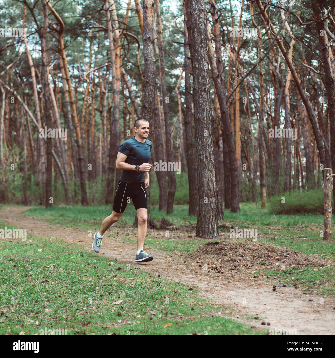 Homme runner run dans la forêt de pins de plein air Banque D'Images