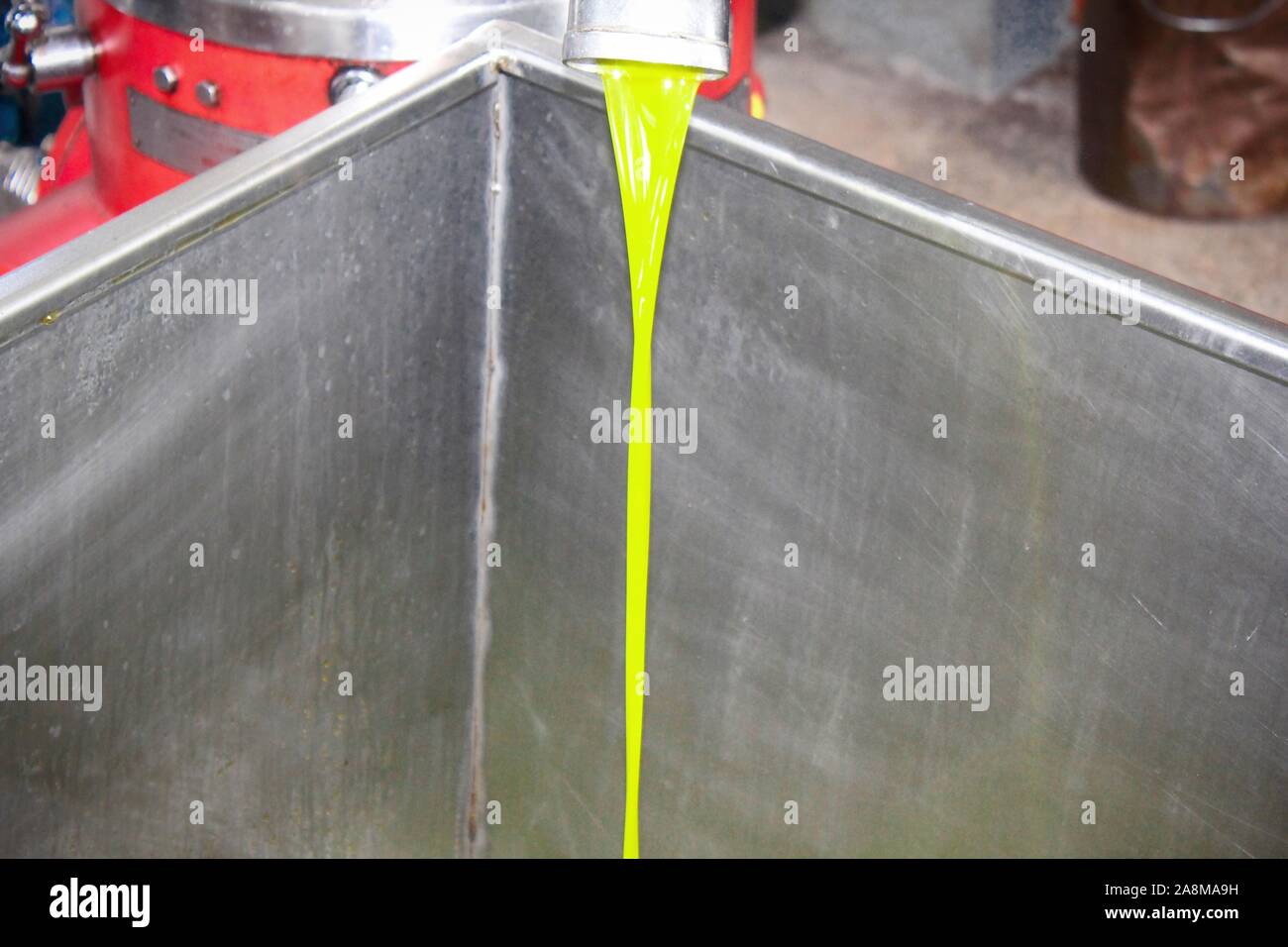 Extraction de l'huile d'olive vierge extra en processus de moulin à huile d'olive en Grèce. Banque D'Images