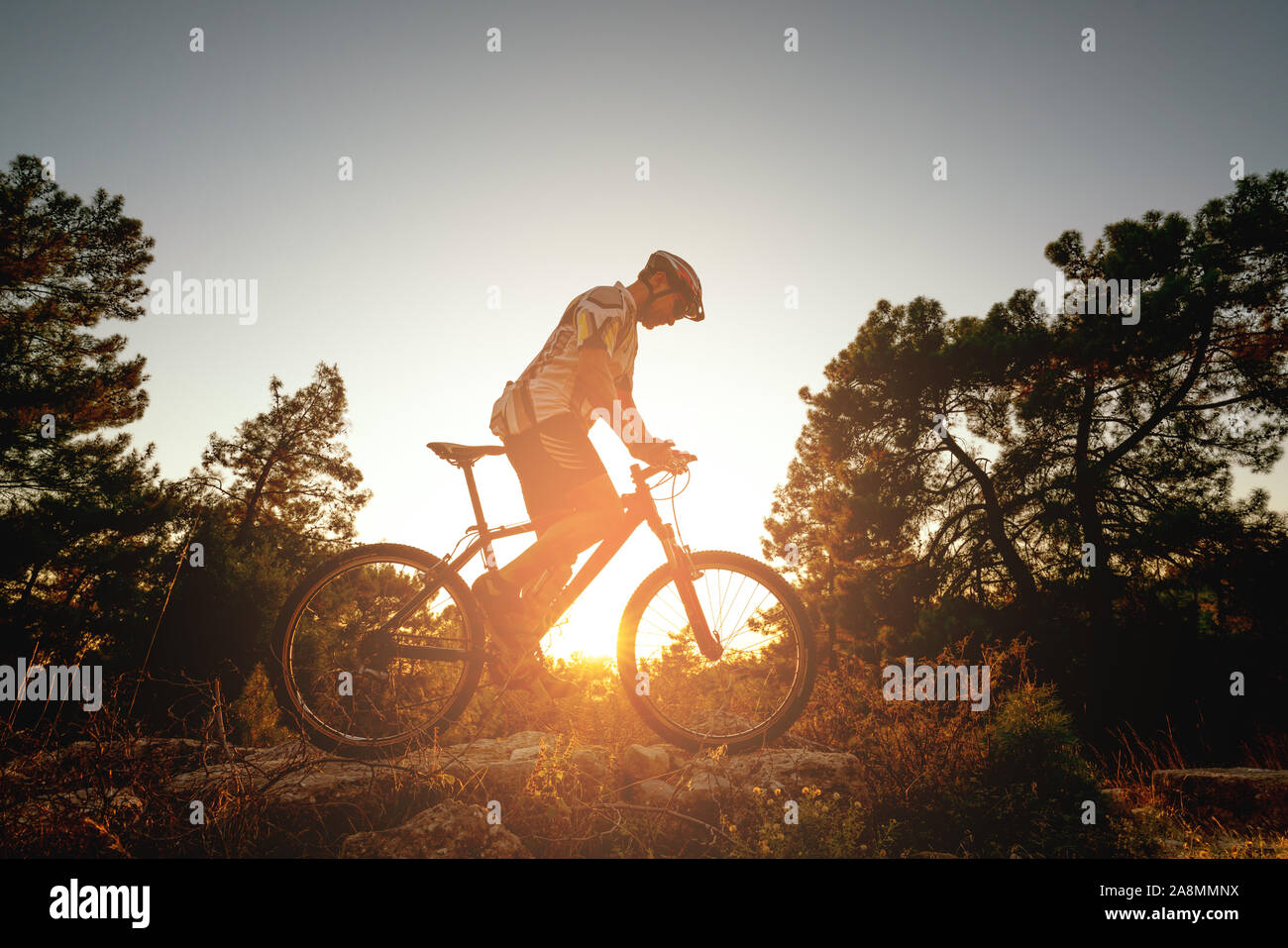 Silhouette d'un coureur de vélo de montagne dans la forêt. Banque D'Images