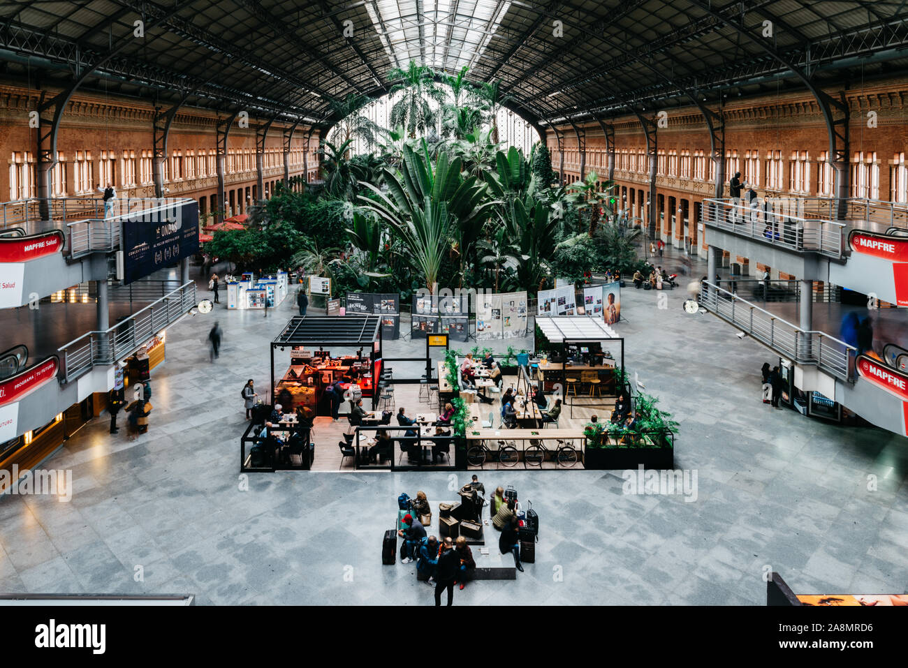 Madrid, Espagne - Nov 9, 2019 : Original 19e siècle la gare d'Atocha est maintenant un grand hall avec des boutiques, des cafés et un jardin botanique Banque D'Images