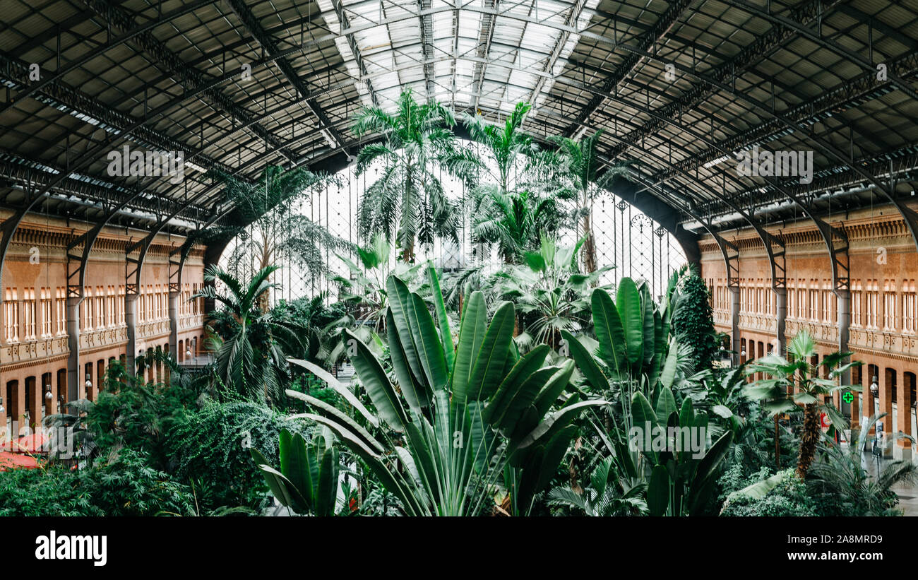 Madrid, Espagne - Nov 9, 2019 : Original 19e siècle la gare d'Atocha est maintenant un grand hall avec des boutiques, des cafés et un jardin botanique Banque D'Images