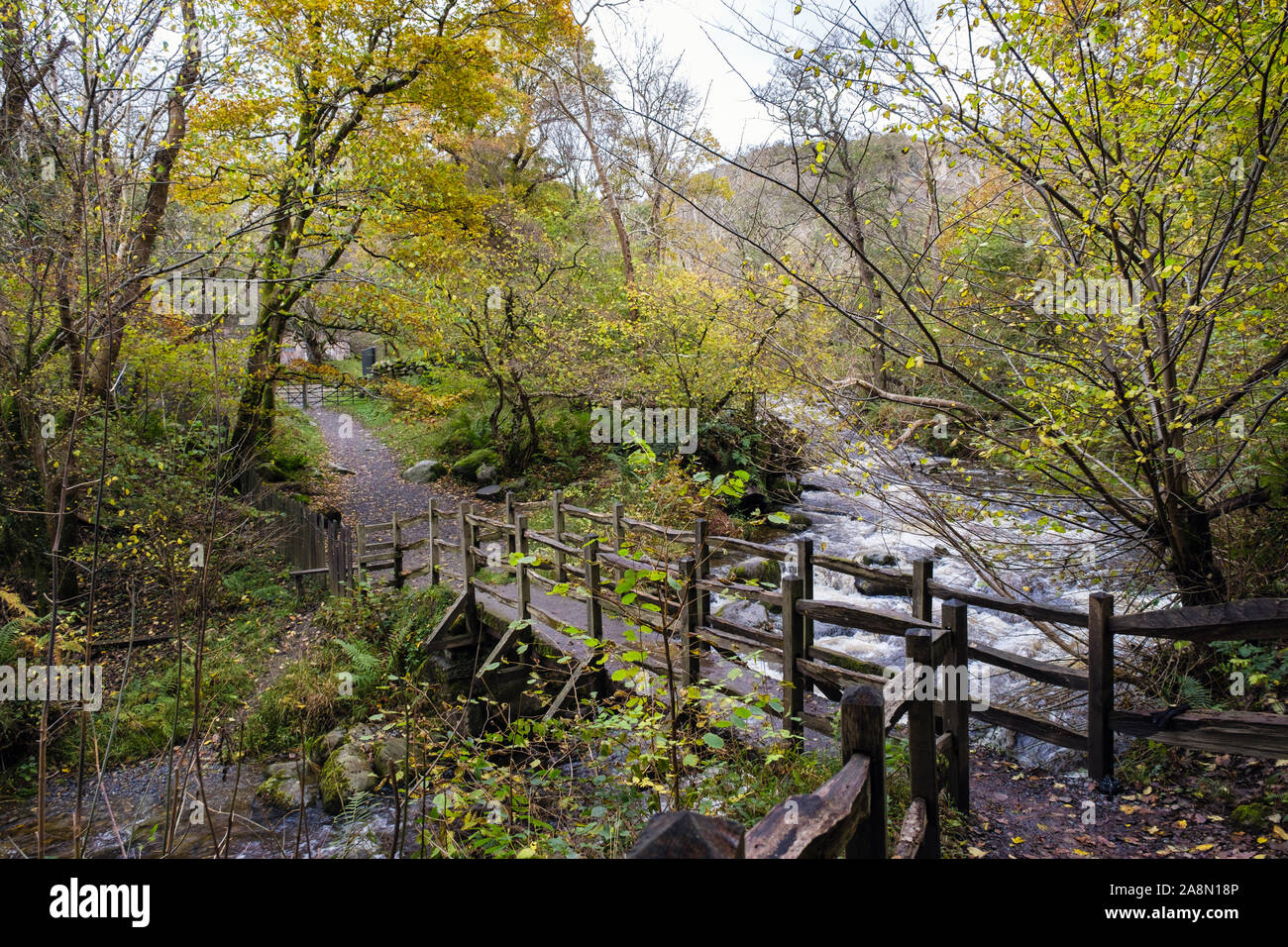 Passerelle d'Afon Rhaeadr Fawr dans Chemin d'Aber tombe dans Coedydd Aber Réserve naturelle nationale dans la région de Snowdonia, dans l'automne. Abergwyngregyn Wales Banque D'Images