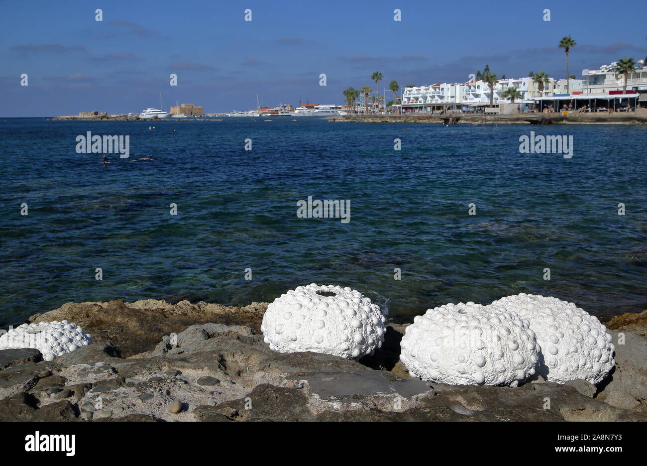 Grande rive blanche sur la rive rocheuse à Paphos, Chypre, mer Méditerranée, promenade avec palmiers, station de vacances Banque D'Images