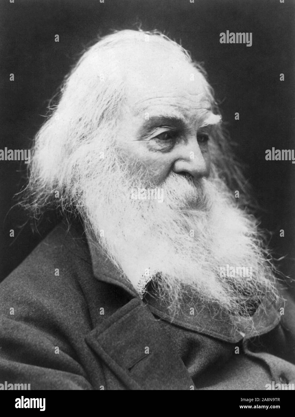 Vintage photo portrait de poète, essayiste et journaliste Walt Whitman (1819 - 1892). Circa 1887 Photo par G C Cox. Banque D'Images