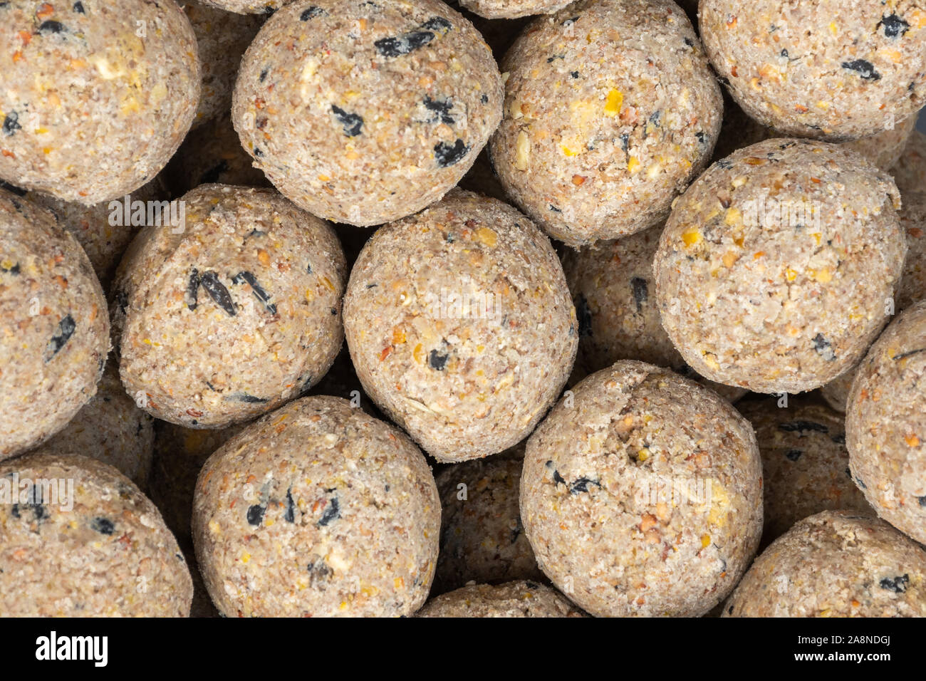 Close-up de boules de graisse pour oiseaux (alimentaire) Boules de suif Banque D'Images