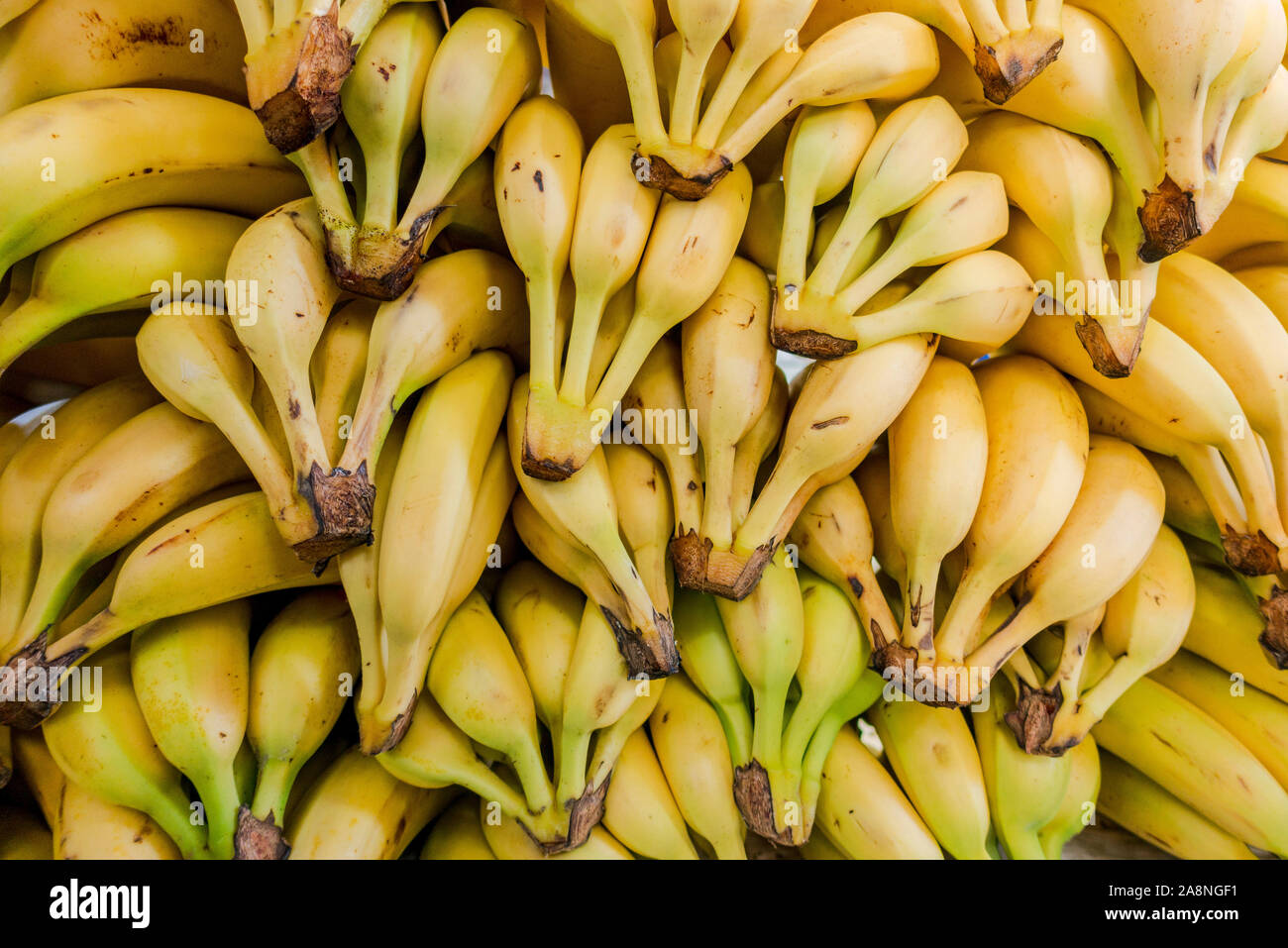 Les bananes empilés dans un marché espagnol, Malaga, Espagne. Banque D'Images