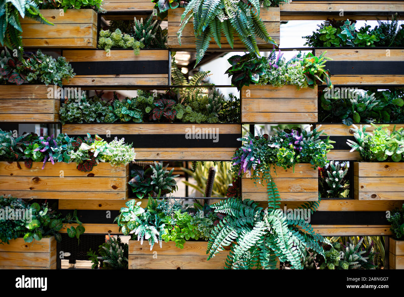 Plante d'intérieur décoration murale. Les plantes d'intérieur sur le mur.  Pots de chambre décoration murale Photo Stock - Alamy