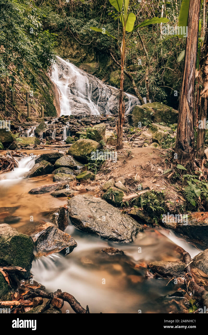 Beau paysage tropical avec une cascade cascade dans la forêt jungle Banque D'Images