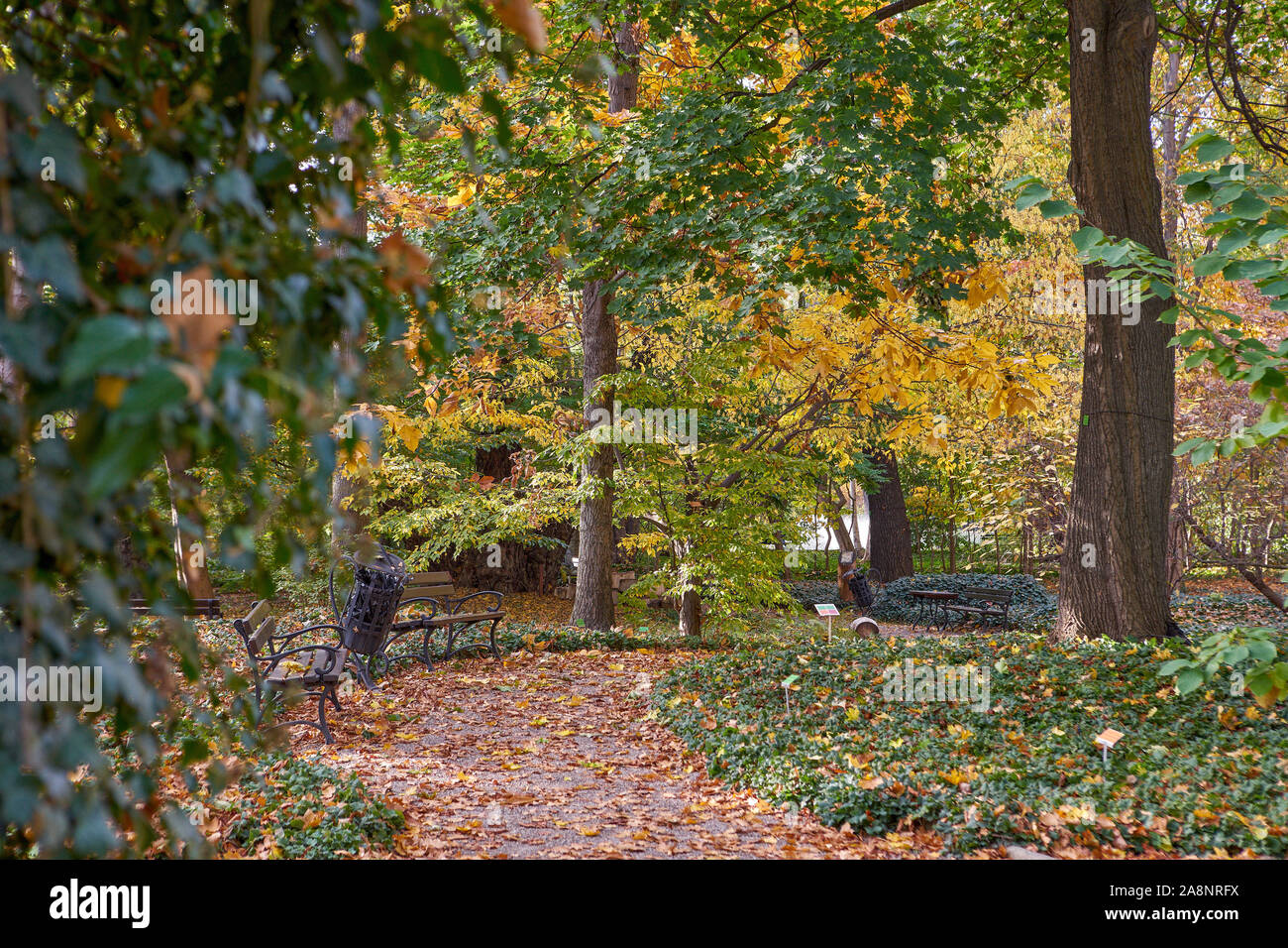 Jardins botaniques de Wroclaw en automne Banque D'Images