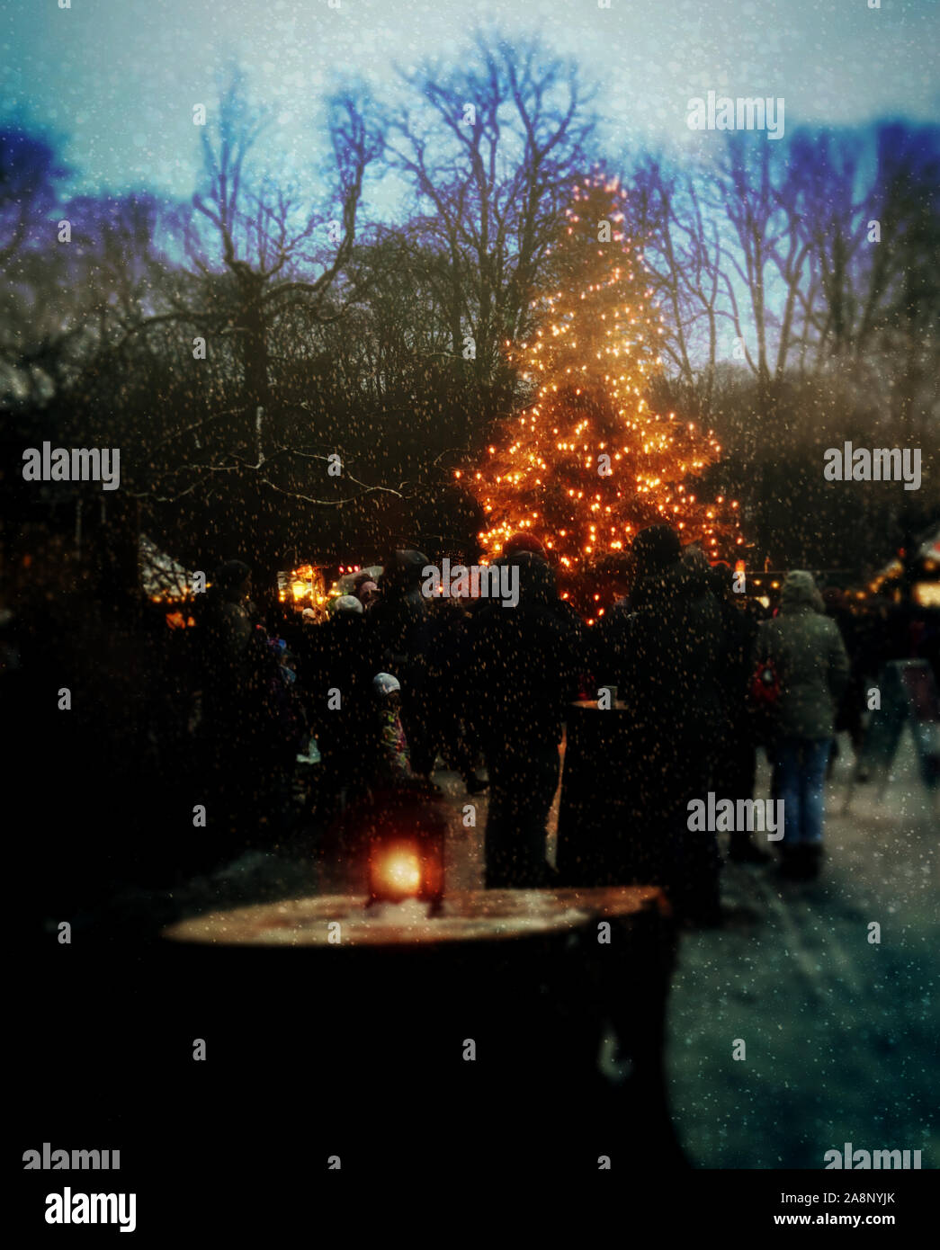 Munich, Allemagne - Marché de Noël au jardin anglais dans la nuit avec un arbre de Noël et de neige Banque D'Images