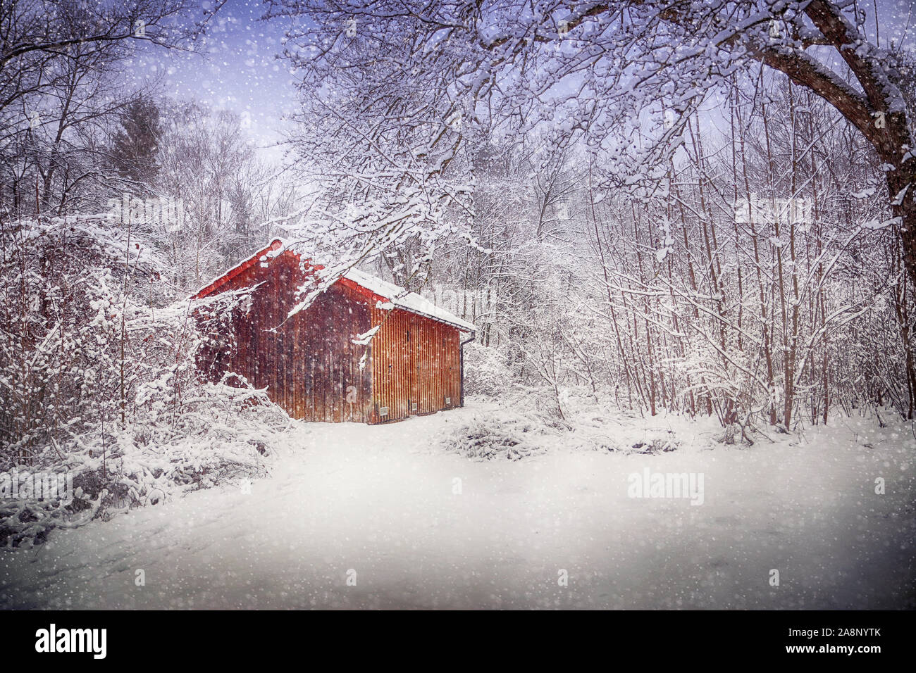 Chalet dans les bois en hiver sous une tempête de neige avec une couverture blanche sur le sol et sur les branches des arbres. Banque D'Images