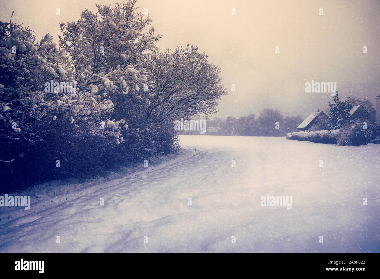 Pays d'hiver magnifique paysage à la tombée de la nuit : le champ couvert par la neige, ferme, arbres et de neige Banque D'Images