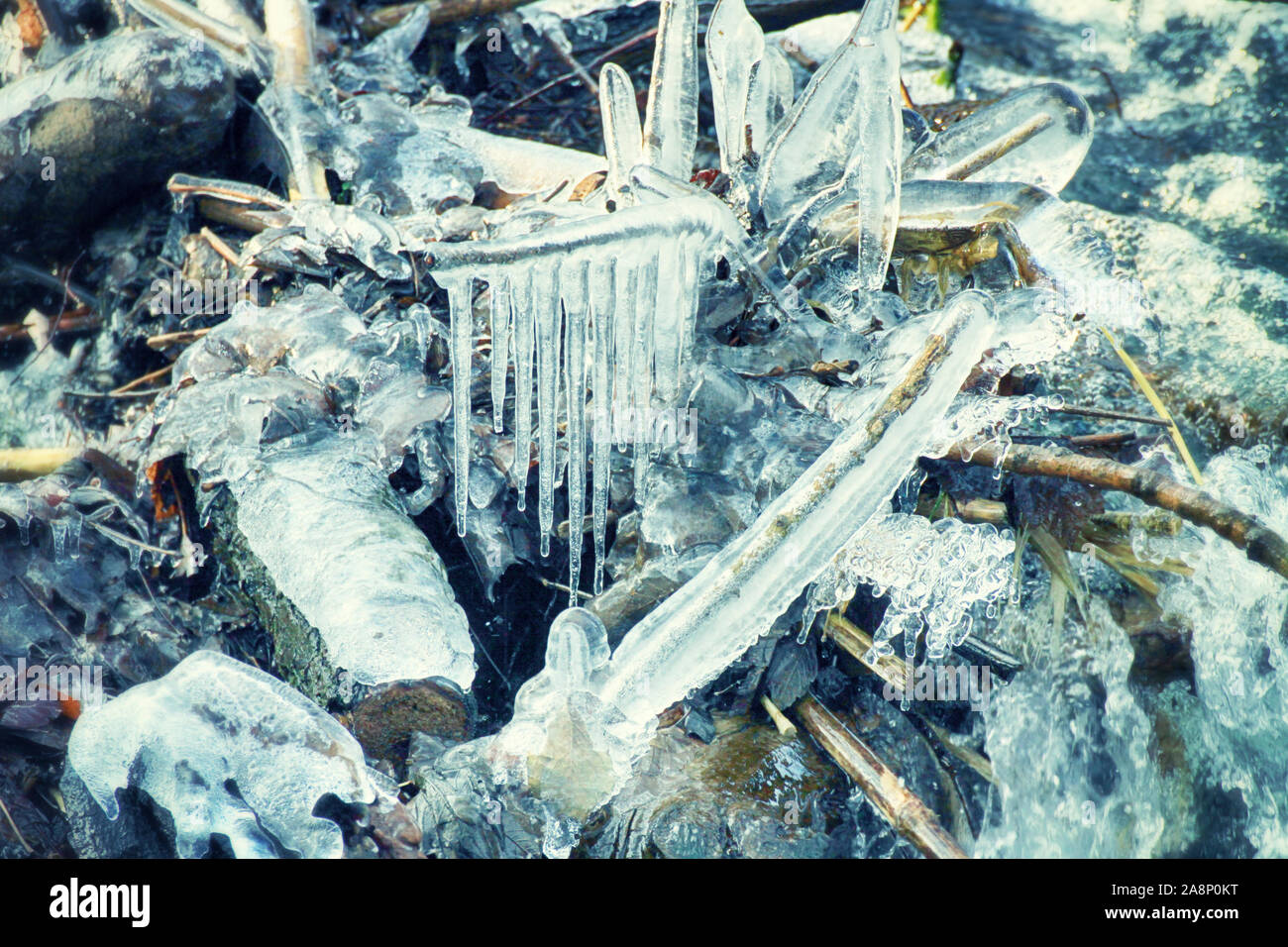 Les glaçons entre cours d'eau sur le bord d'une rivière gelée en hiver Banque D'Images