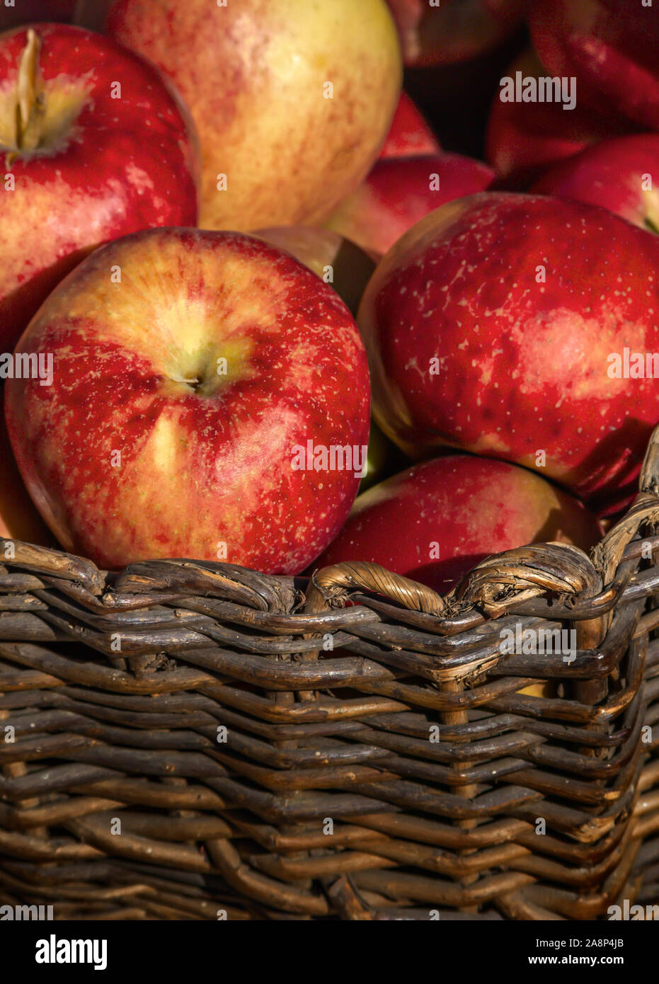 Pommes dans un panier ; Banque D'Images