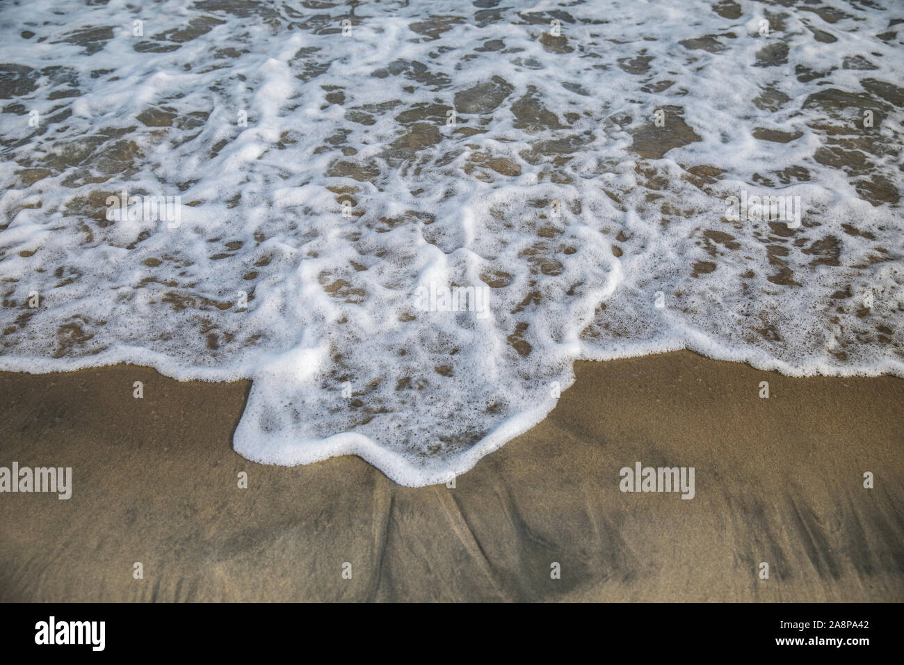 La mousse de la mer se brisant sur la plage. Image Banque D'Images
