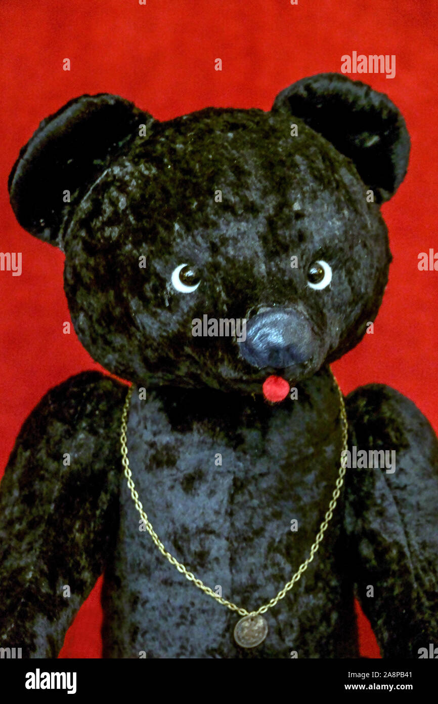 Vieux ours noir toy, langue rouge Banque D'Images
