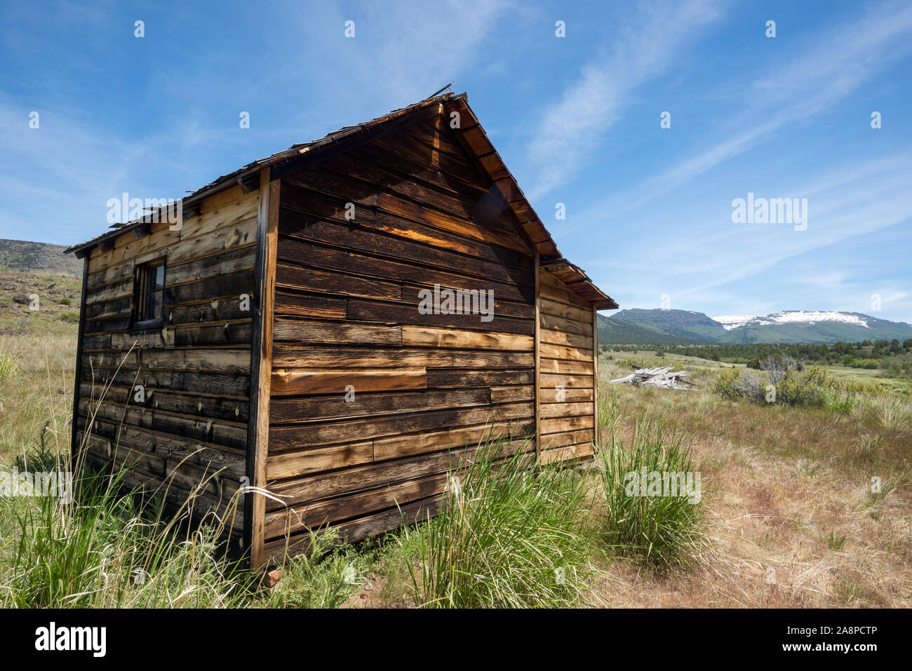 Ben Riddle Cabine, partie de l'Énigme historique Frères Ranch, Steens Mountain, de l'Oregon. Banque D'Images