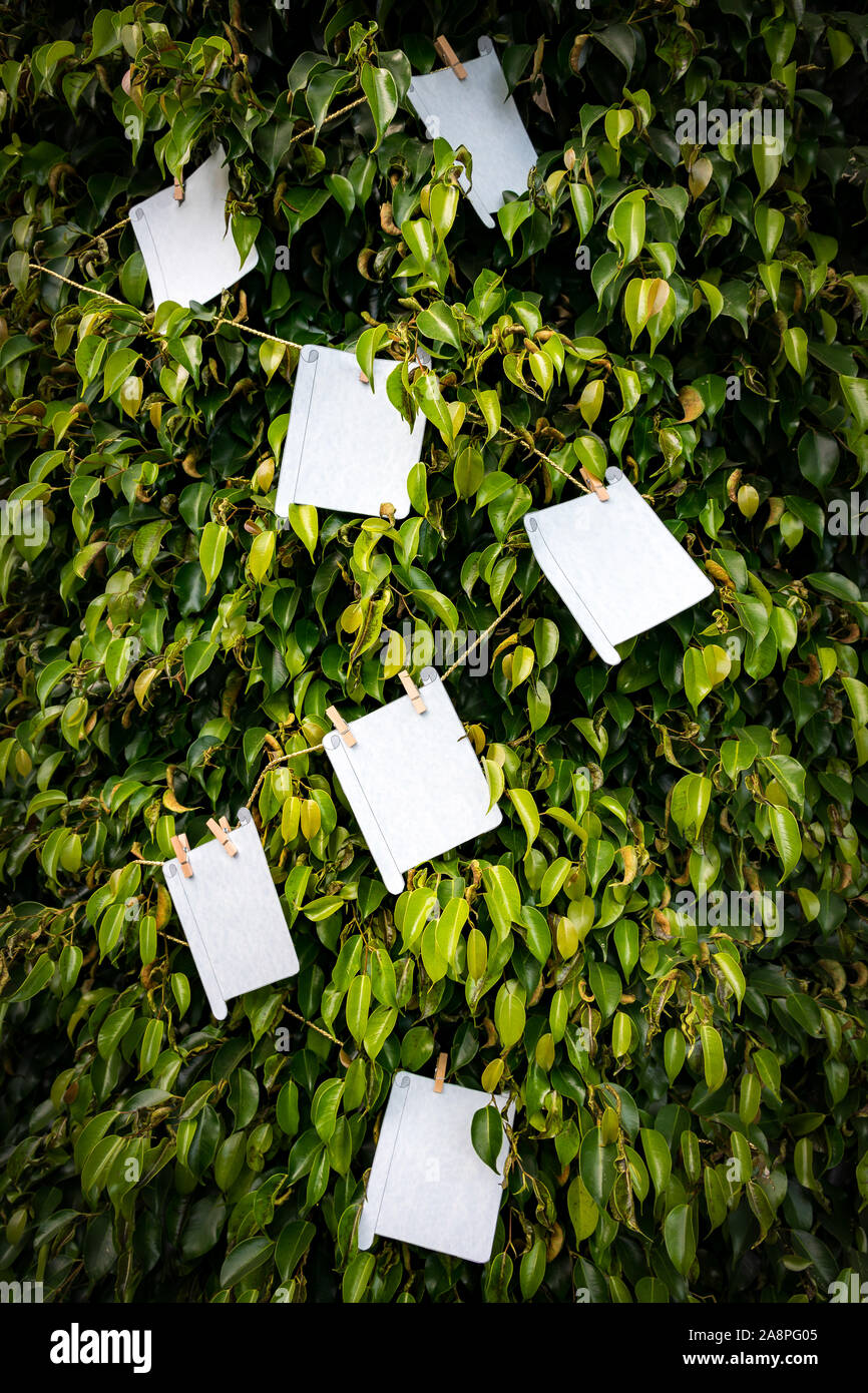 Des feuilles de papier vierges Banque D'Images