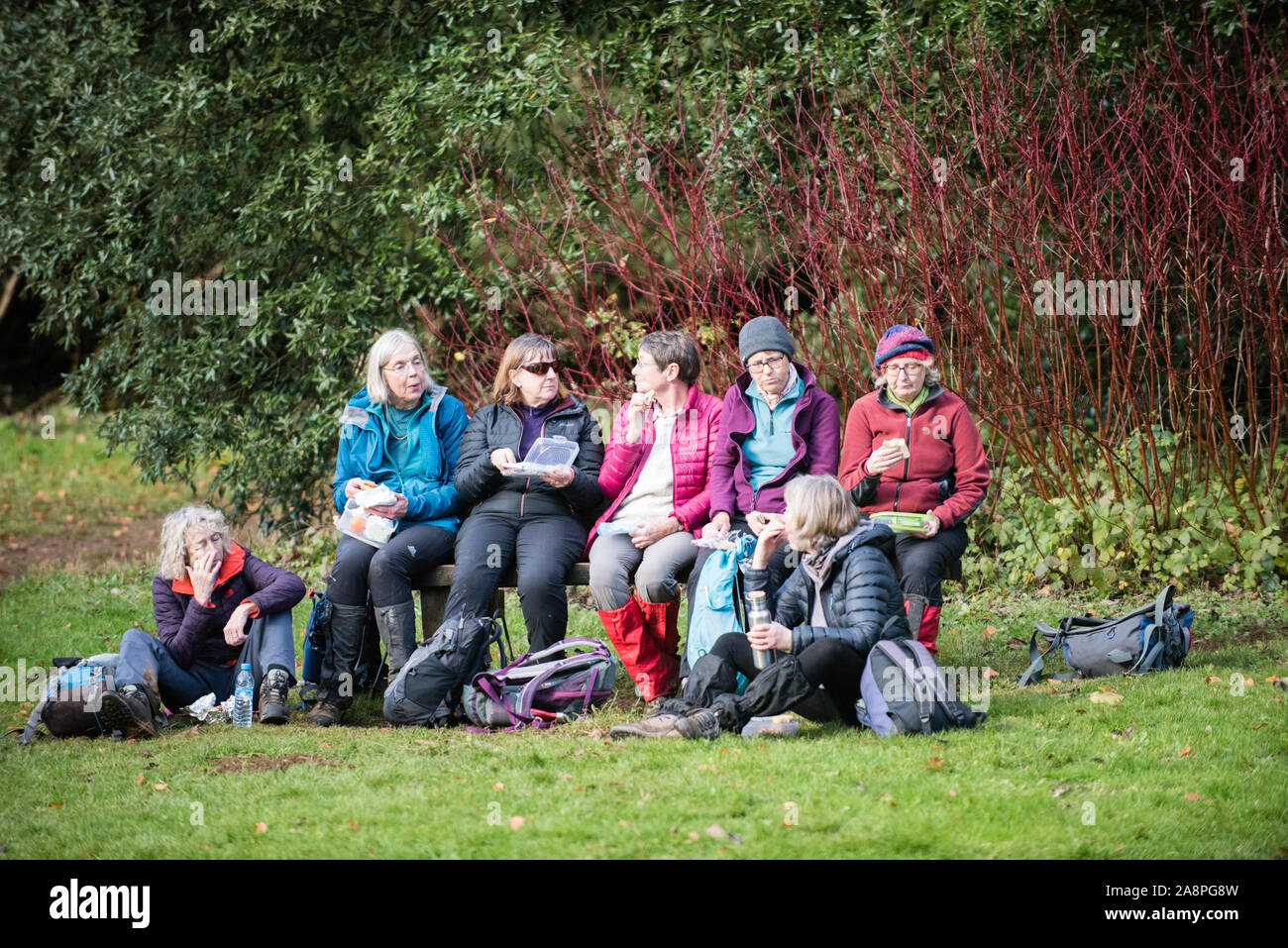 Groupe de femmes marcheurs blanches d'âge moyen sympathiques profitant d'une pause pique-nique dans la campagne portant un équipement de randonnée avec des sacs à dos en automne soleil Banque D'Images