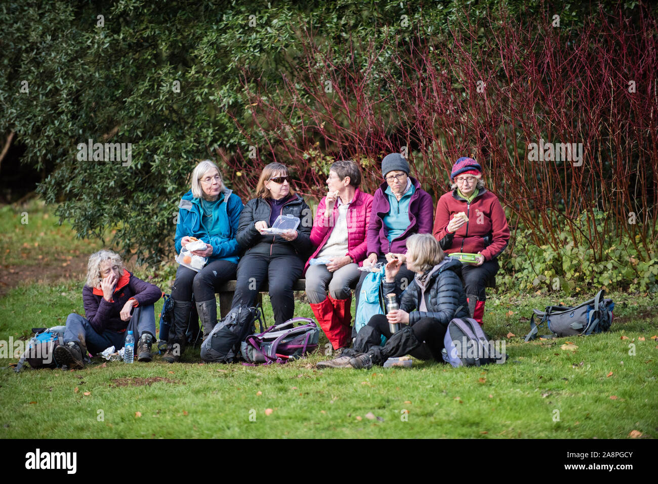 Groupe de femmes marcheurs blanches d'âge moyen sympathiques profitant d'une pause pique-nique dans la campagne portant un équipement de randonnée avec des sacs à dos en automne soleil Banque D'Images