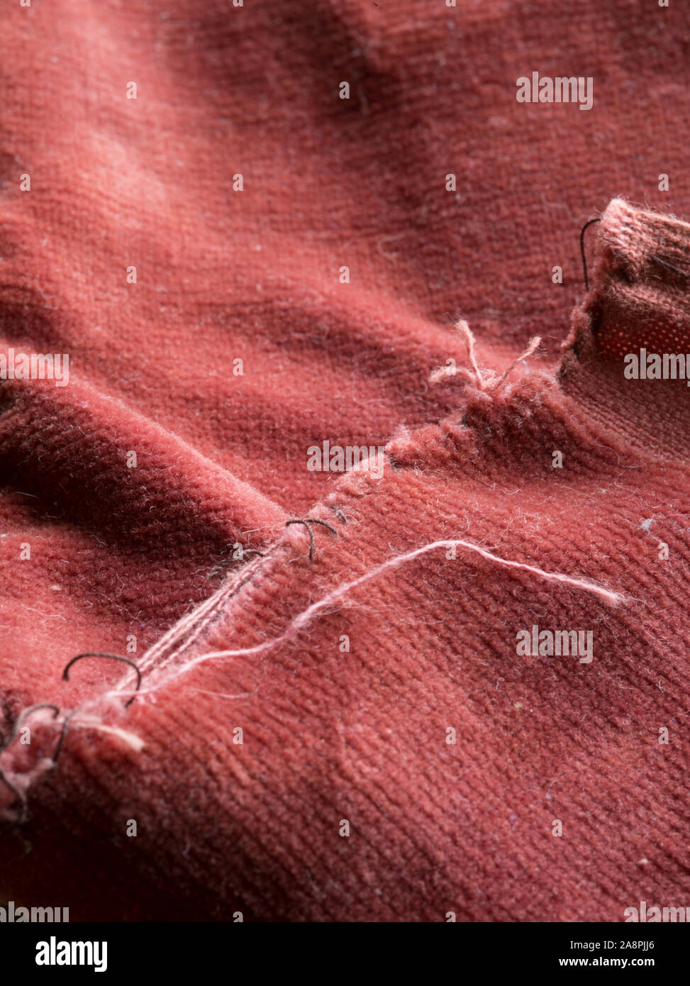 Rose sombre déchiré le velours rouge tissé effilochés Banque D'Images