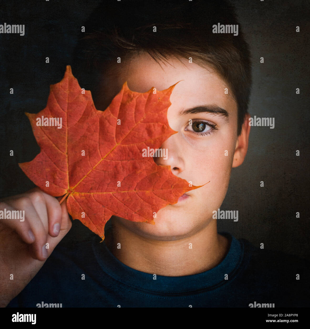 Close up portrait of boy couvrant la moitié de son visage avec une feuille d'érable. Banque D'Images