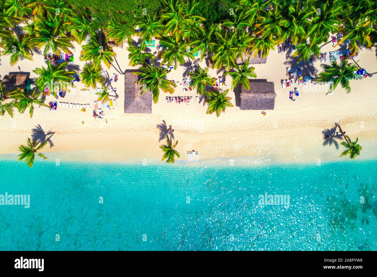 Vue aérienne de la plage tropicale. L'île de Saona, République Dominicaine Banque D'Images