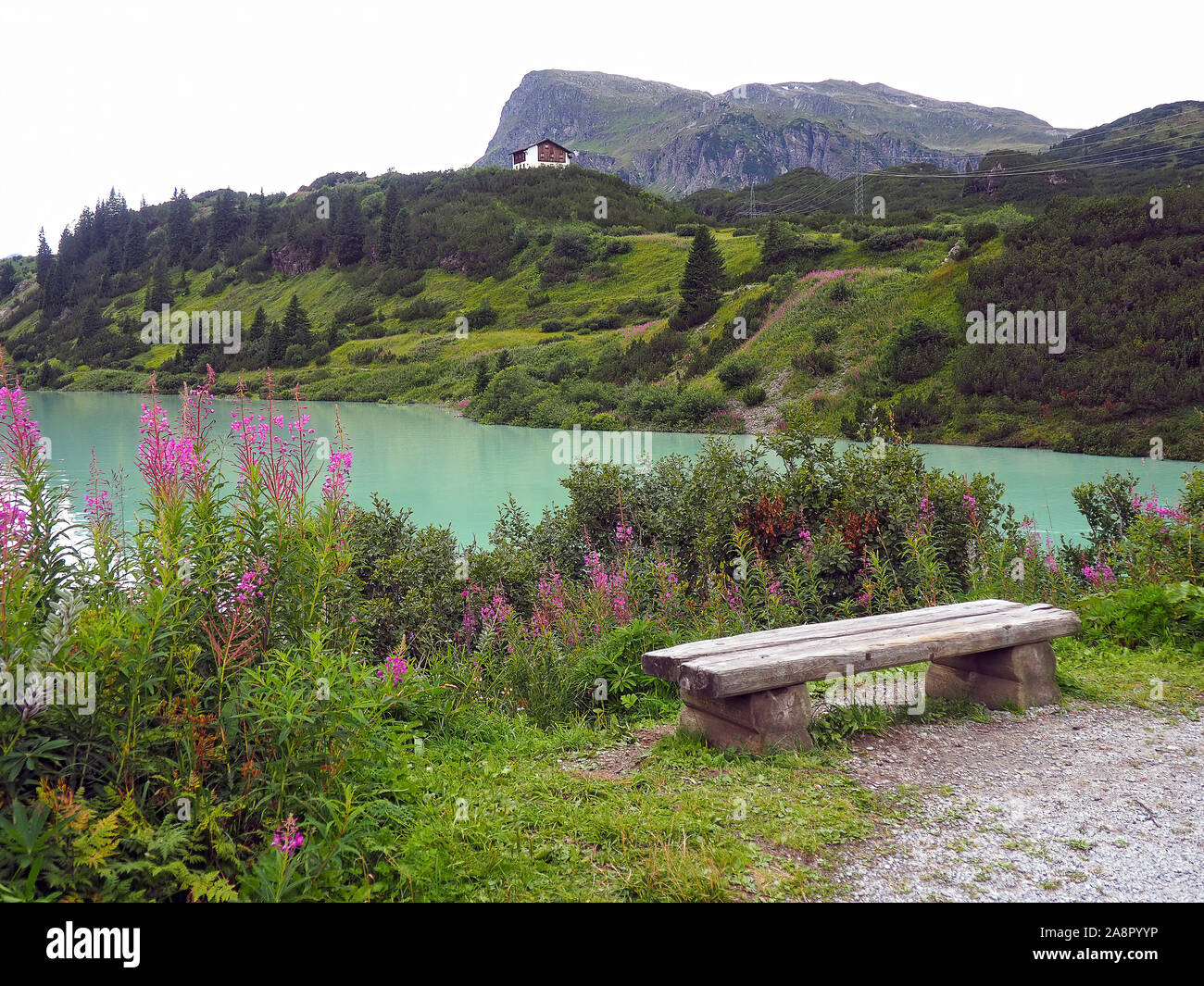 Fleurs rose et vide banc en pierre surplombant le lac de montagne autrichienne avec l'arrière-plan Banque D'Images