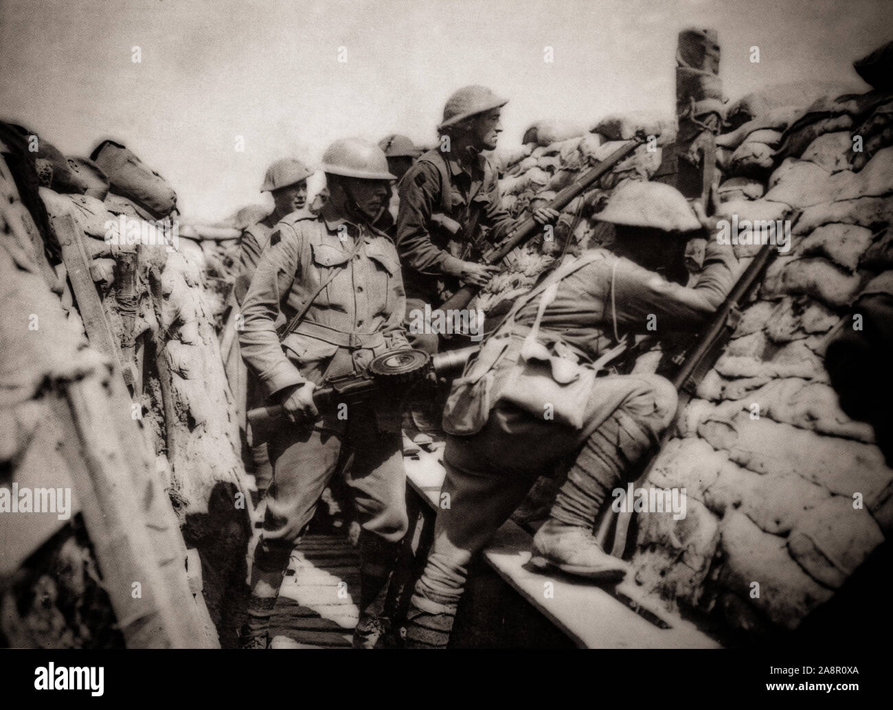 Soldats de la 2e Division australienne dans les tranchées pendant la Première Guerre mondiale. Ils ont d'abord été envoyé dans la région de la frontière belge à se familiariser avec certaines des nouvelles armes de la guerre moderne, y compris le gaz. Ils ont ensuite porté sur les tranchées de la ligne de front près de Armentières dans le département du Val-de-France dans le nord de la France. Il s'agissait d'une région connue sous le nom de "la pépinière" et bien qu'il s'agissait d'un secteur relativement calme, il y a eu des périodes de forte combats, bombardements, et quelques raids lourds ; à la fin du mois de juin plus de 600 hommes avaient été tués. Banque D'Images