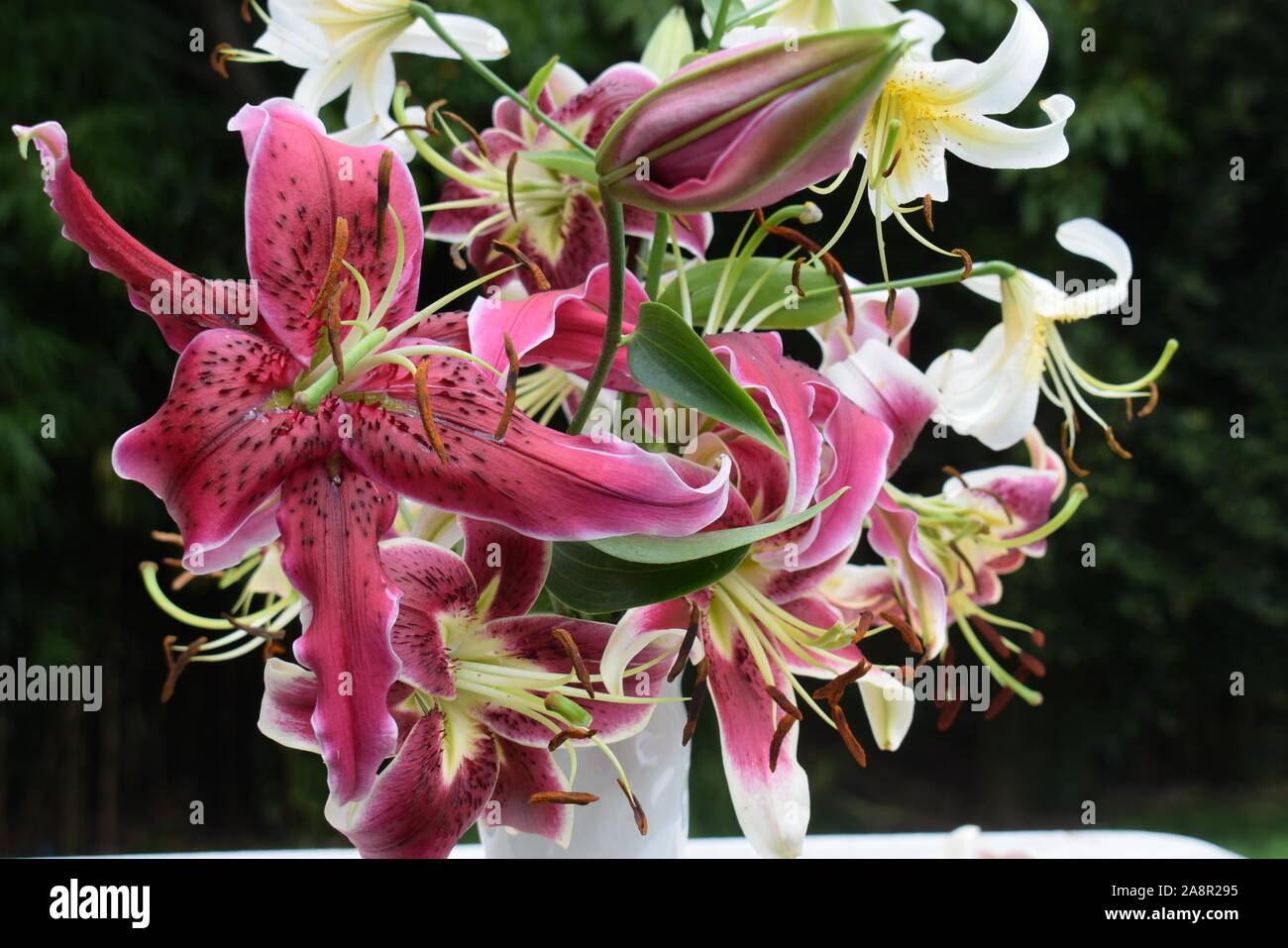 Bouquet de Lys Mlle Feya, Schéhérazade et Lady Alice Banque D'Images