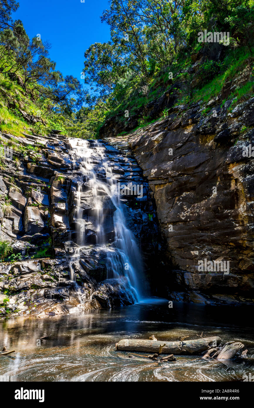 Sheoak Falls dans le Grand Parc National d'Otway, près de Lorne, Victoria, Australie. Banque D'Images