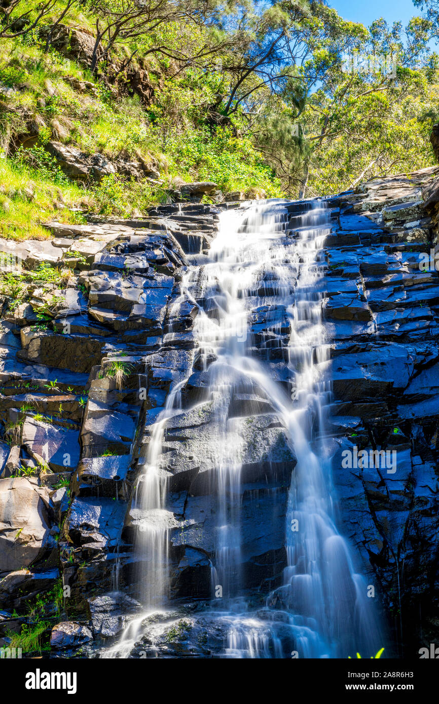 Sheoak Falls dans le Grand Parc National d'Otway, près de Lorne, Victoria, Australie. Banque D'Images