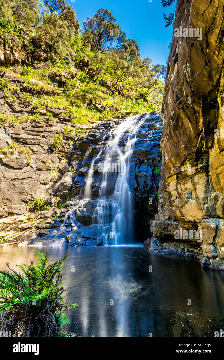 Sheoak Falls dans le Grand Parc National d'Otway, près de Lorne, Victoria, Australie. Banque D'Images