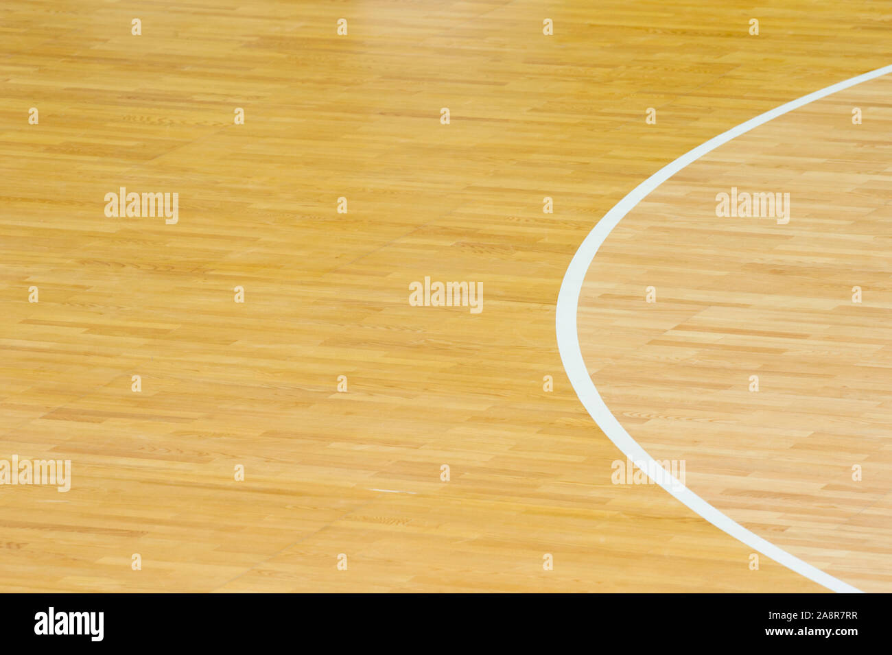 Plancher en bois volley-ball, basket-ball, badminton, futsal, handball avec effet de lumière sol plancher de salle de sport avec la ligne Lignes de marquage sur sol en bois Banque D'Images