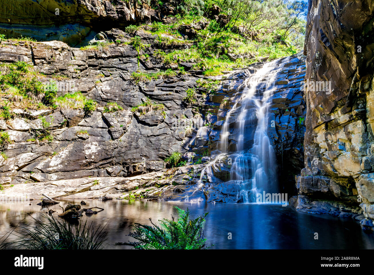 Sheoak Falls dans le Grand Parc National d'Otway, près de Lorne, Victoria, Australie. Banque D'Images