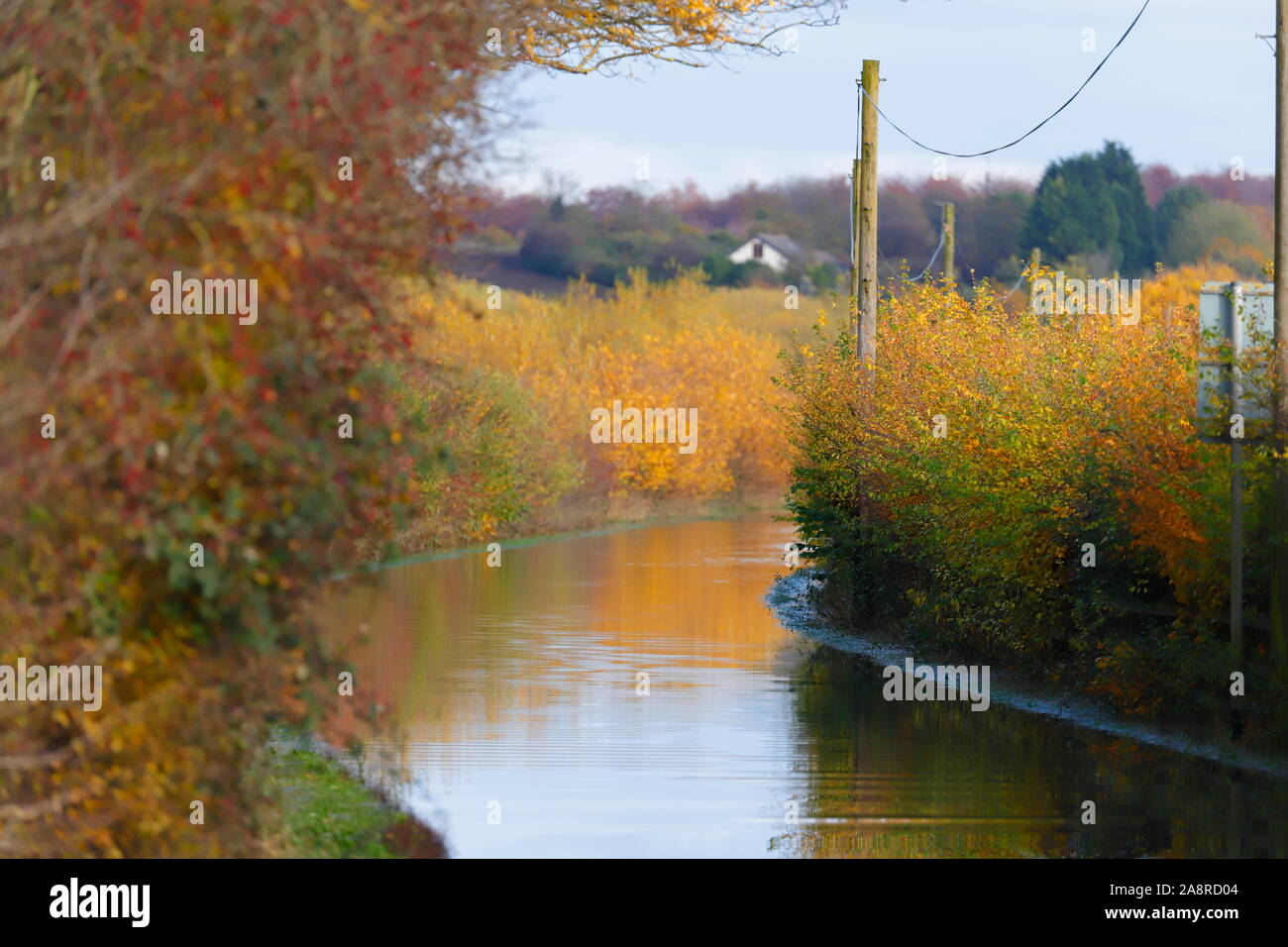 Newton Lane à Fairburn Ings près de Castleford submergé sous l'eau après les inondations dans la région. Banque D'Images