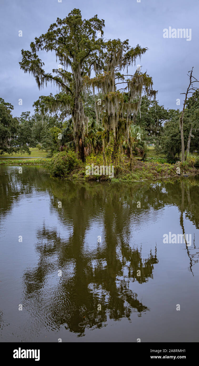 City Park, New Orleans Banque D'Images