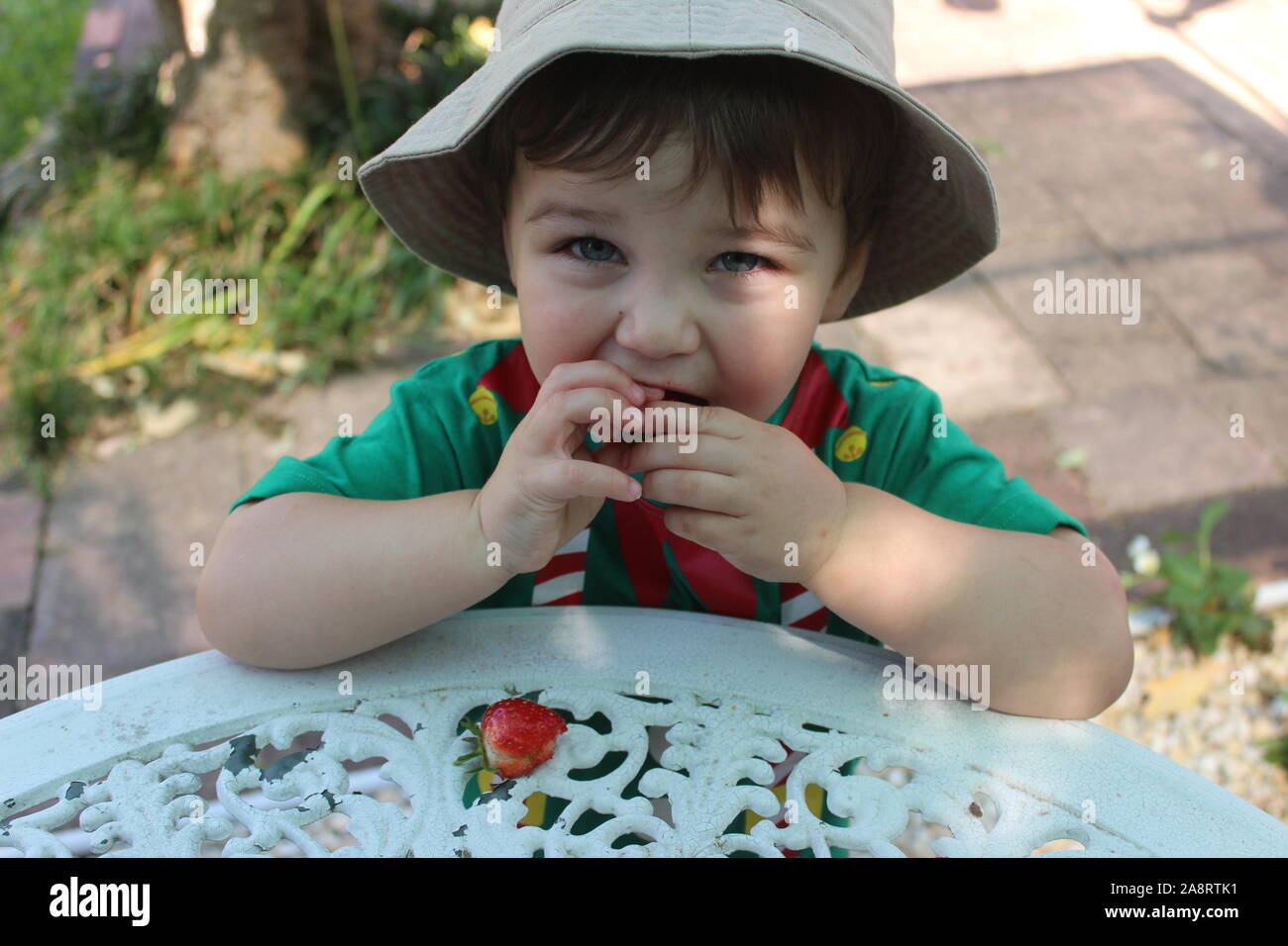 Un jeune enfant en mangeant des fraises comme un bon garçon Banque D'Images