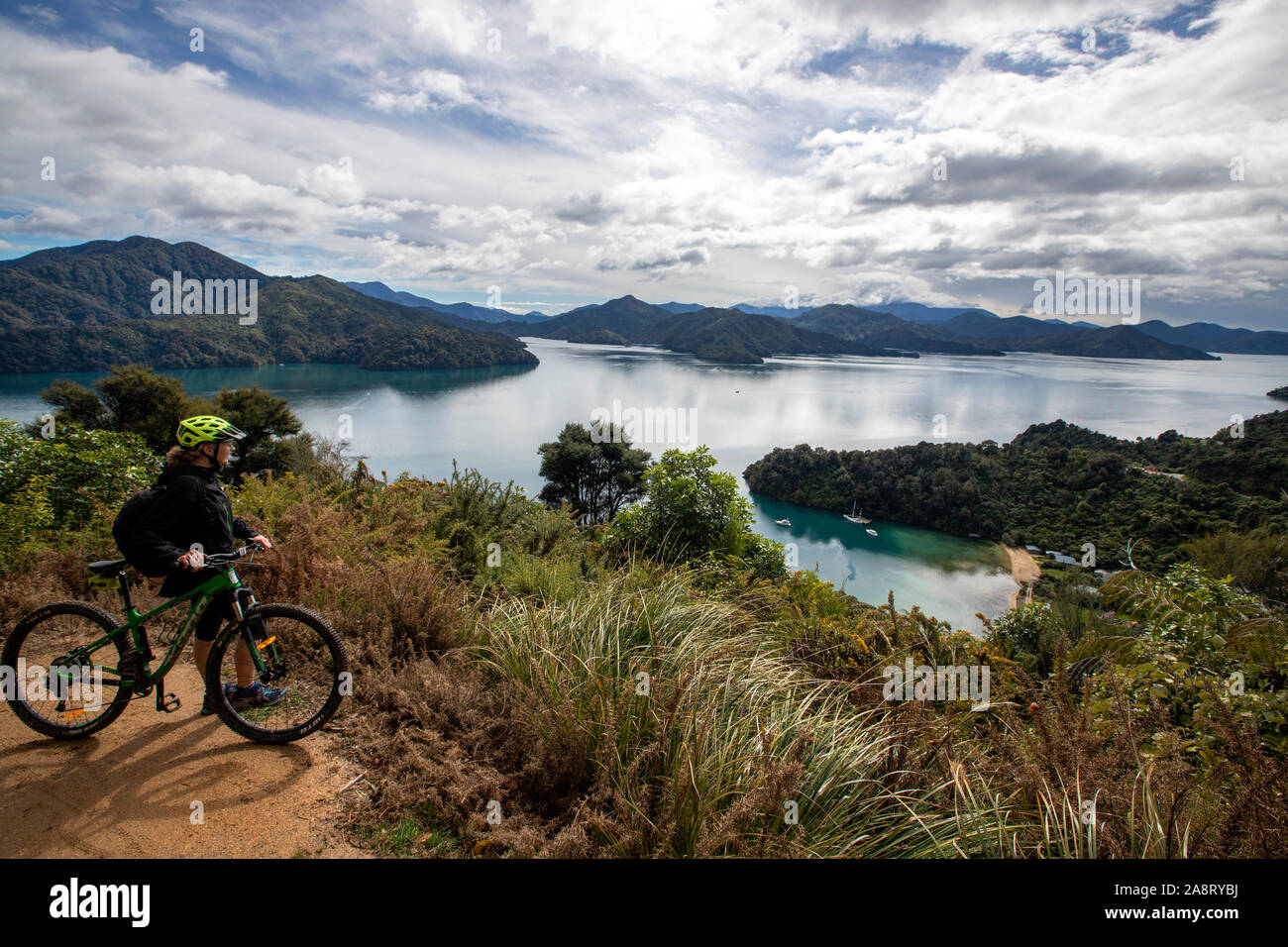 Cyclistes sur la voie de liaison, Marlborough Sounds, Nouvelle-Zélande Banque D'Images
