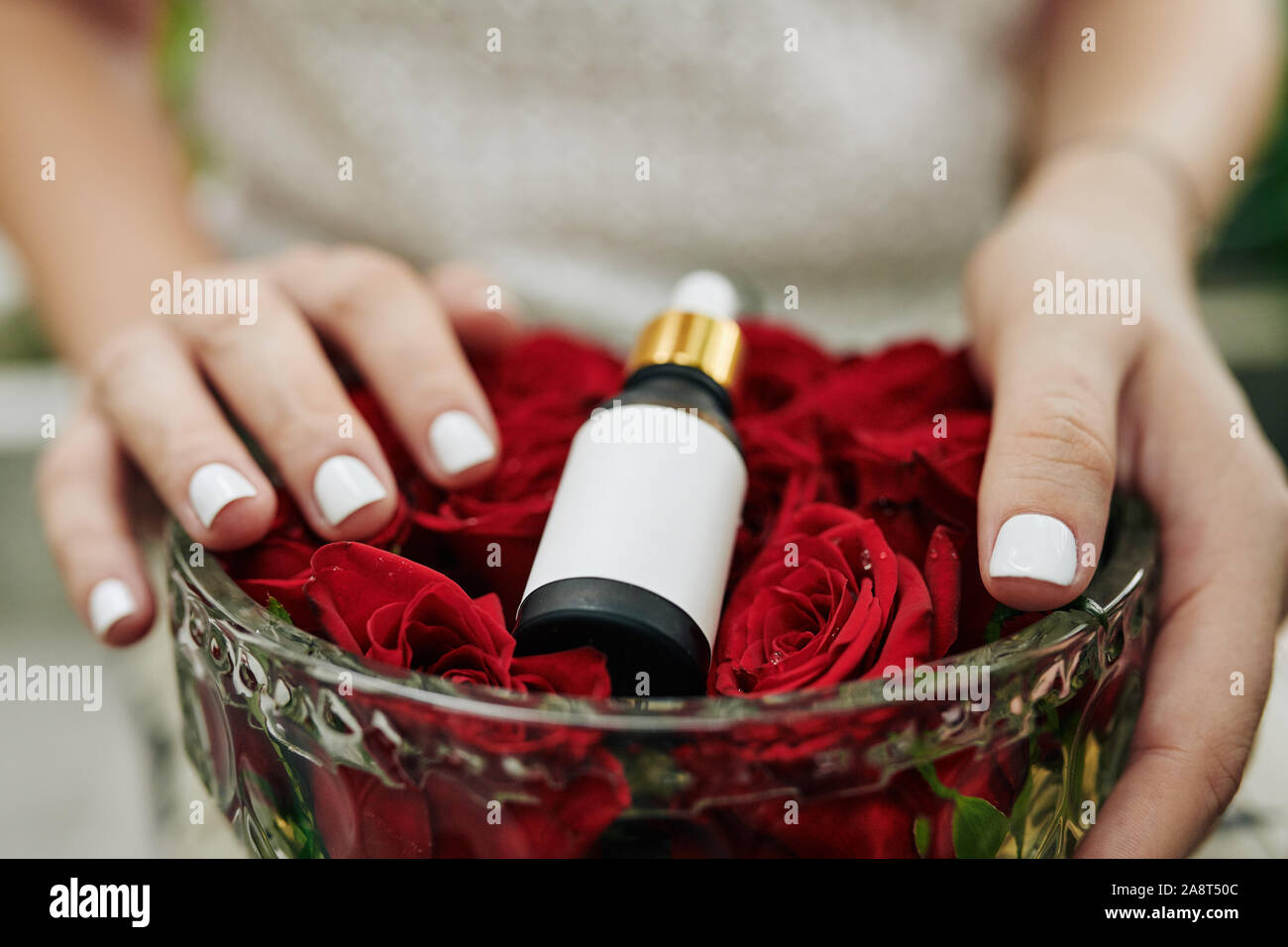 Mains de femme tenant un bol de cristal avec des boutons de fleurs et une bouteille d'huile de rose sur elle Banque D'Images