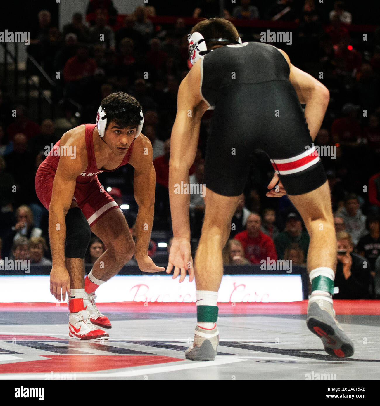 10 novembre 2019 : Cardinaux Stanford Brandon Kier (rouge) wrestles Ohio State Buckeyes Quinn Kinnerr (noir) dans les 133lb. dans leur match à l'Covelli Centre à Columbus, Ohio. Banque D'Images