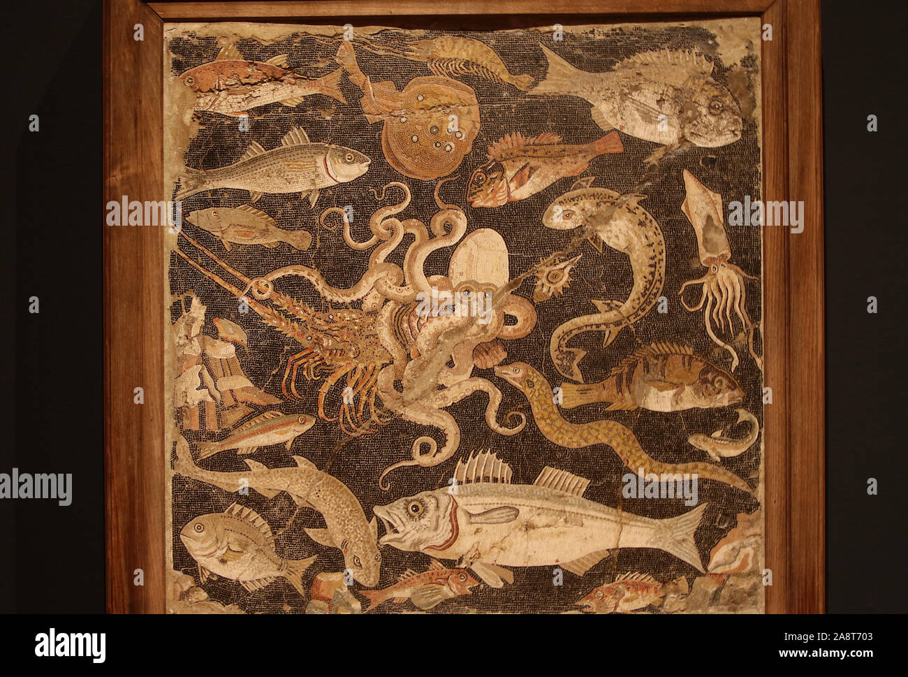 Mosaïque romaine ancienne montrant les poissons et autres créatures marines de Pompéi en Italie Banque D'Images