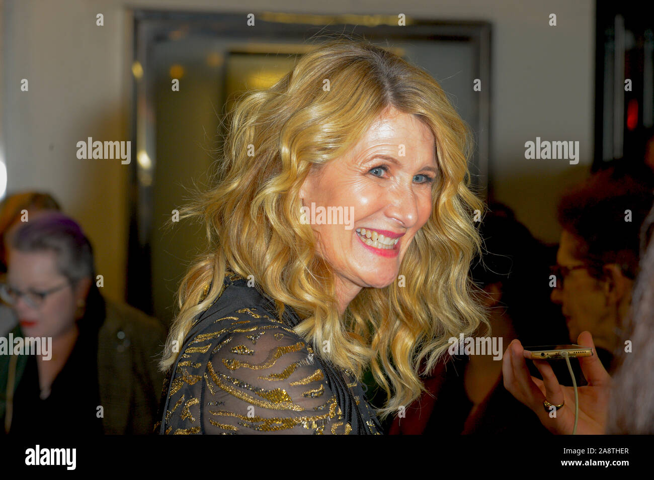 New York, États-Unis. 11Th Nov, 2019. Laura Dern assiste à la première mondiale à l'histoire de mariage Paris Theatre de New York. Credit : SOPA/Alamy Images Limited Live News Banque D'Images